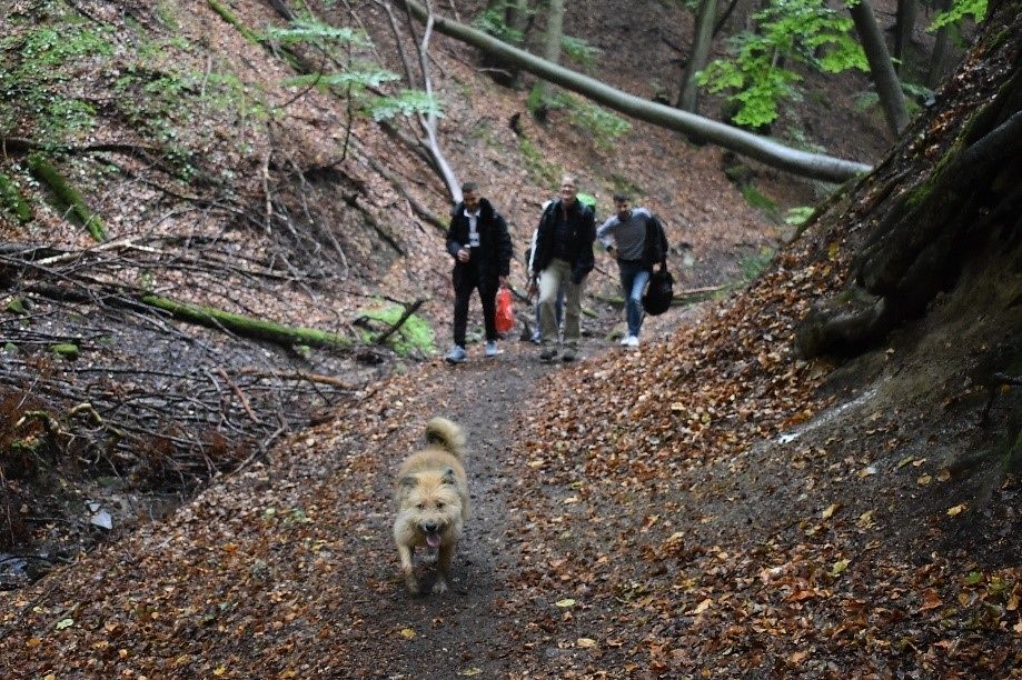 Drei junge Männer und ein Hund auf einem Wanderweg im Wald
