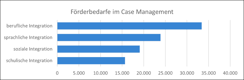 Förderbedarf im Case Management als Grafik